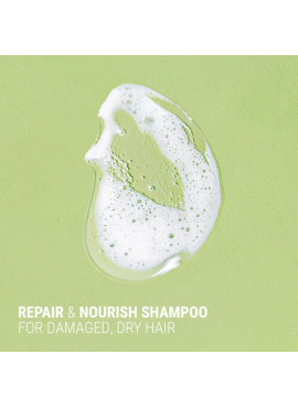 ANTIPODES Fig + Feijoa - Repair & Nourish Shampoo